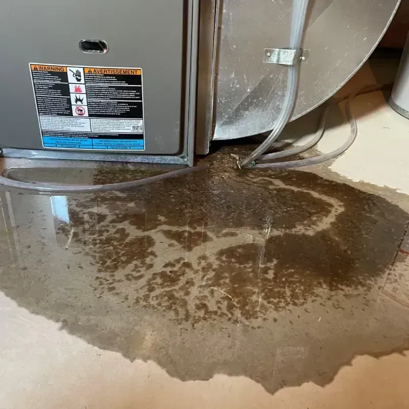 Appliance Leak Cleanup in Wallace, ID